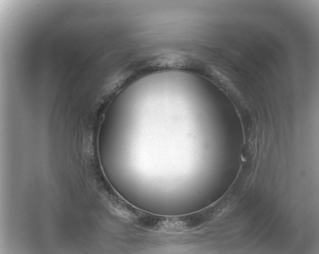 X0000062150403200512161240