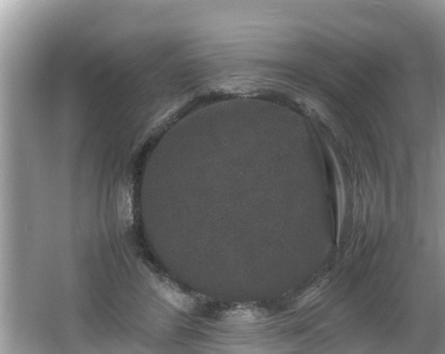 X0000062150404200512161240