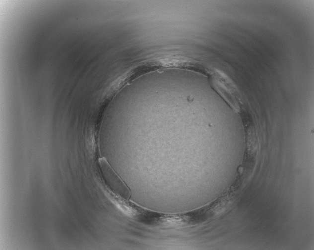 X0000062150405200512161240