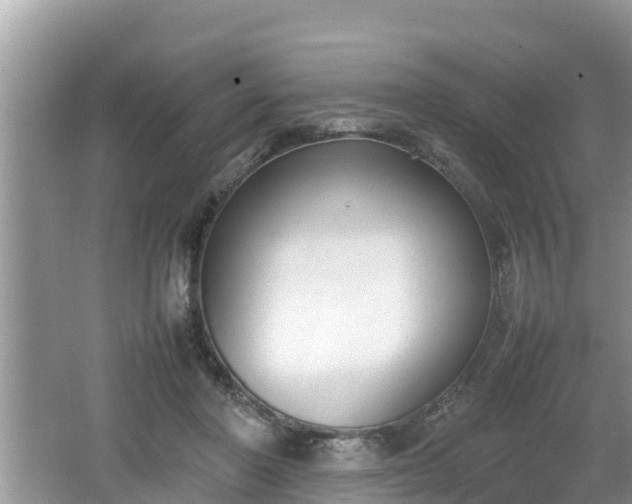 X0000062150406200512161240