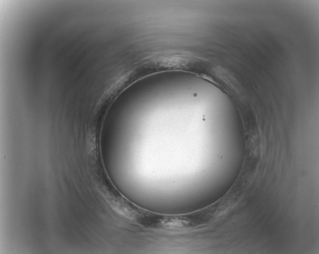 X0000062150407200512161240