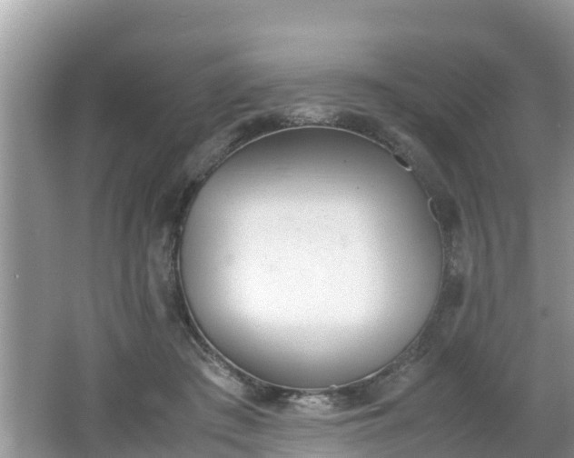 X0000062150409200512161240