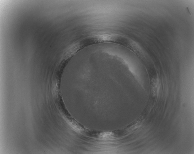 X0000062150410200512161239