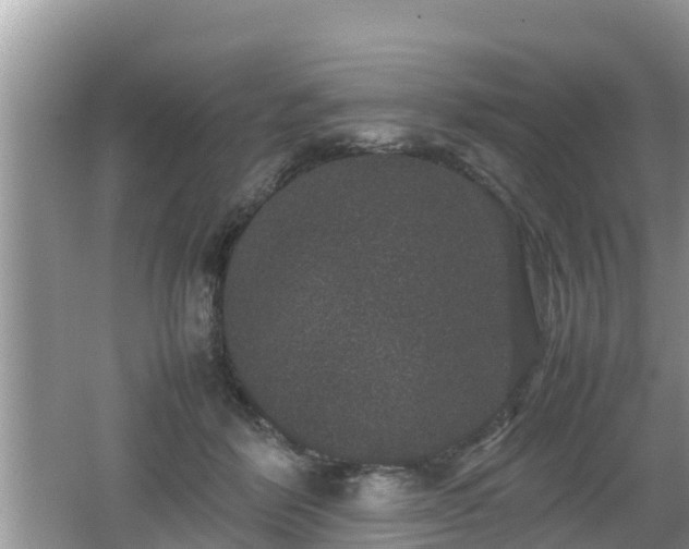 X0000062150412200512161239