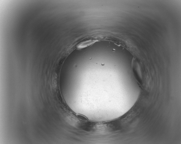 X0000062150413200512161239