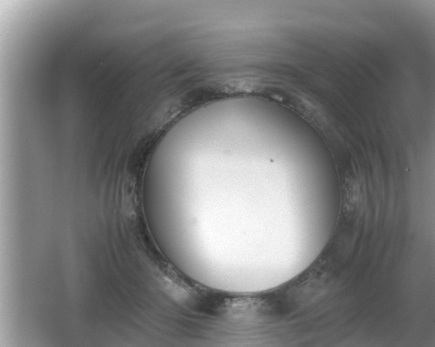 X0000062150414200512161239