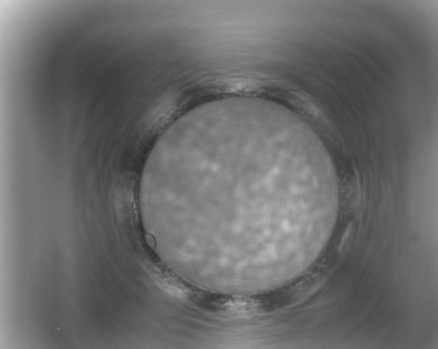 X0000062150415200512161239