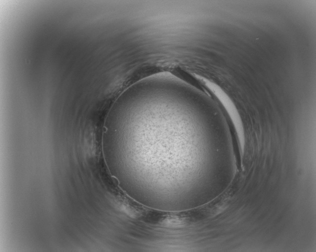 X0000062150416200512161239