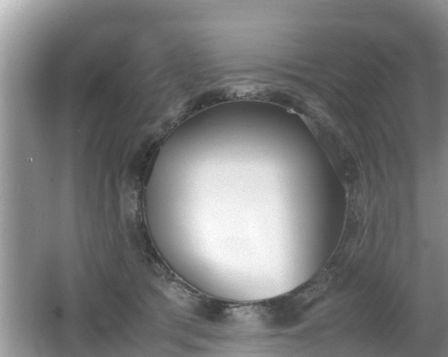 X0000062150417200512161239