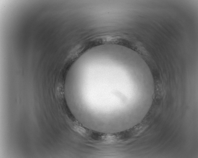 X0000062150419200512161239