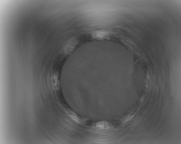 X0000062150420200512161239