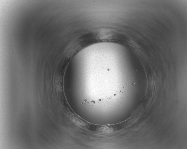 X0000062150421200512161239