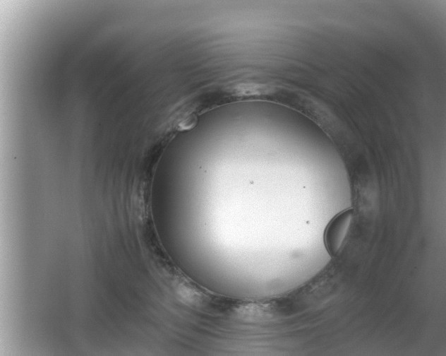 X0000062150422200512161239