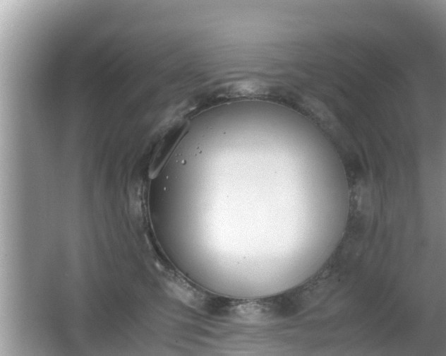 X0000062150423200512161239