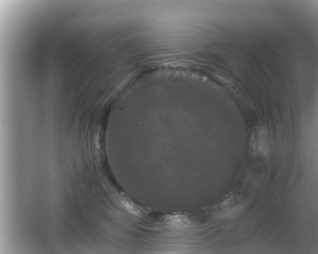 X0000062150424200512161239