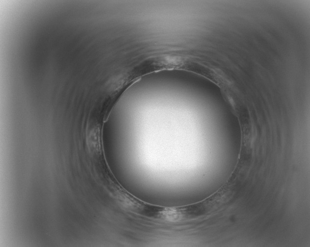 X0000062150425200512161239