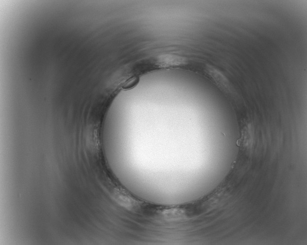 X0000062150426200512161239