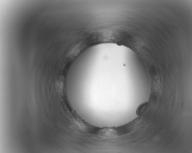 X0000062150427200512161239