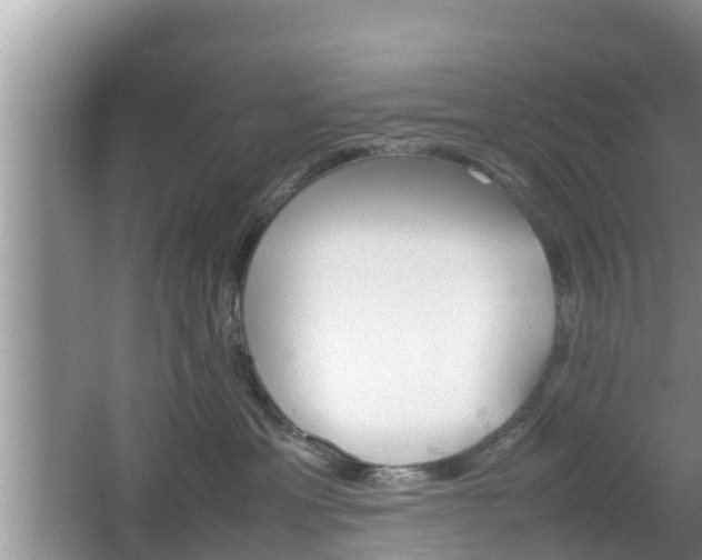 X0000062150429200512161239