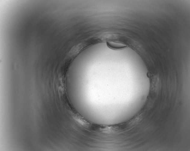 X0000062150430200512161239