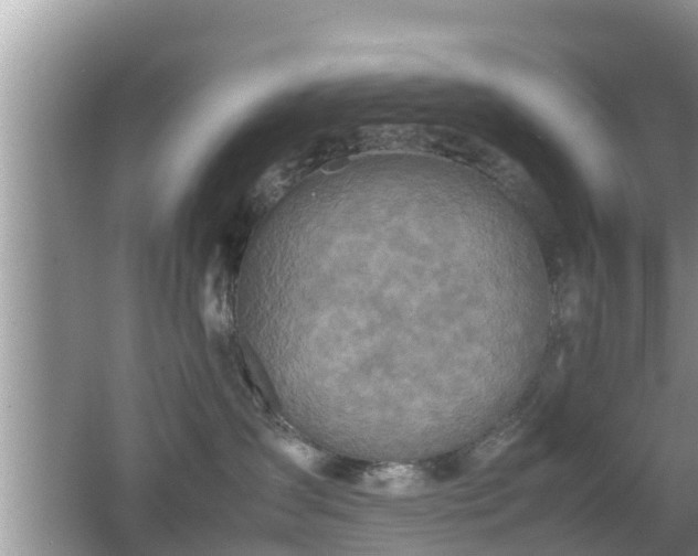 X0000062150431200512161239