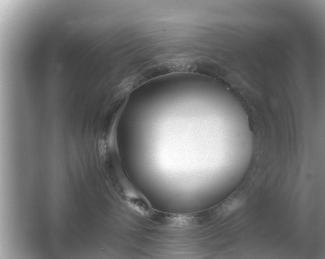 X0000062150432200512161239