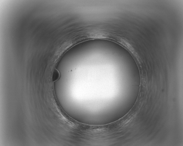 X0000062150433200512161238