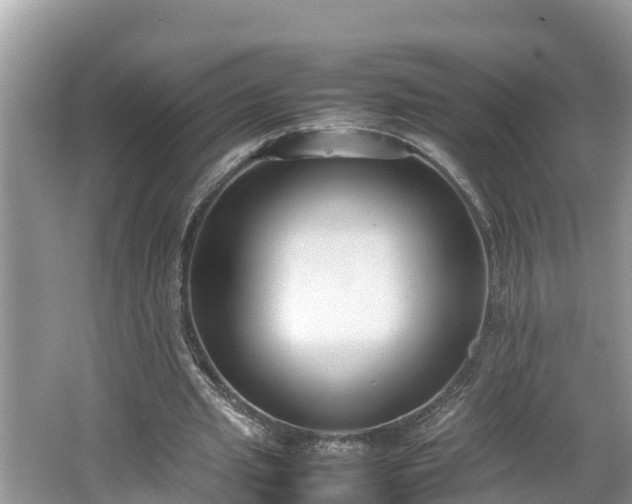 X0000062150437200512161238