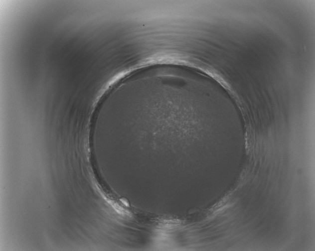 X0000062150438200512161238