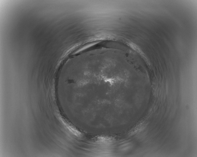 X0000062150442200512161238