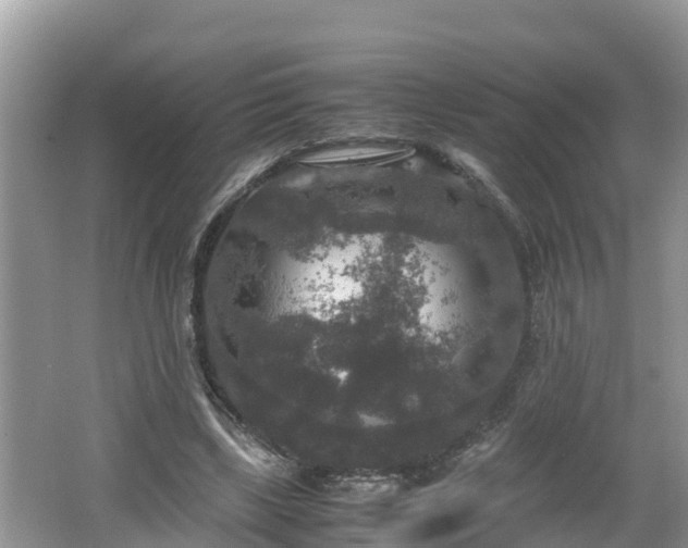 X0000062150443200512161238