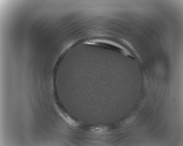 X0000062150447200512161239