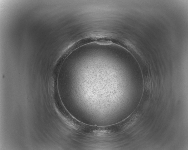 X0000062150448200512161239