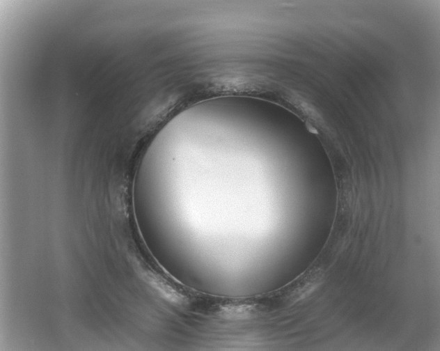 X0000062150450200512161239