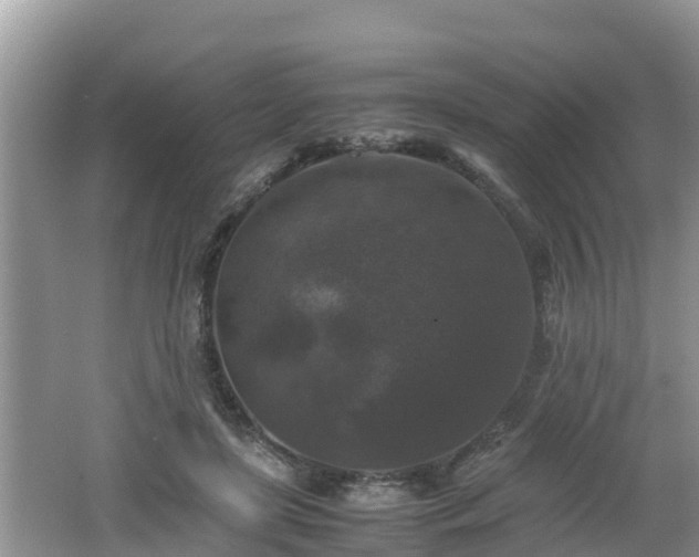 X0000062150451200512161239