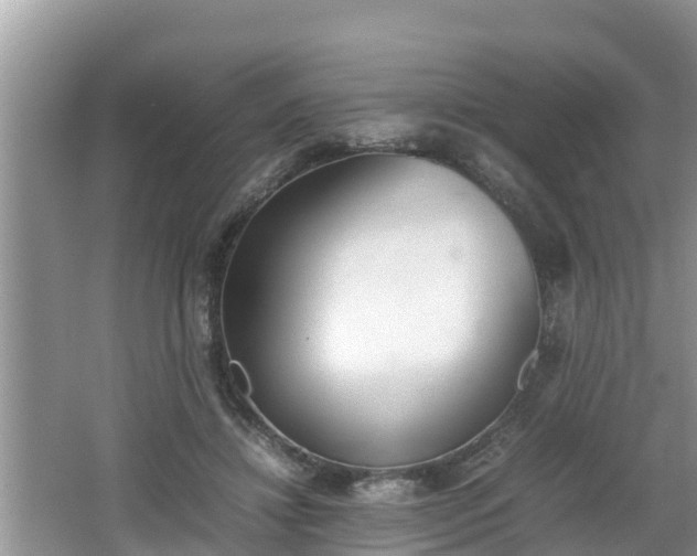 X0000062150452200512161239