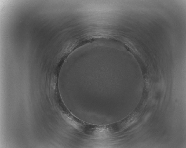 X0000062150458200512161239