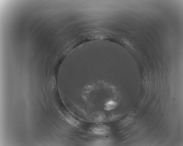 X0000062150459200512161239