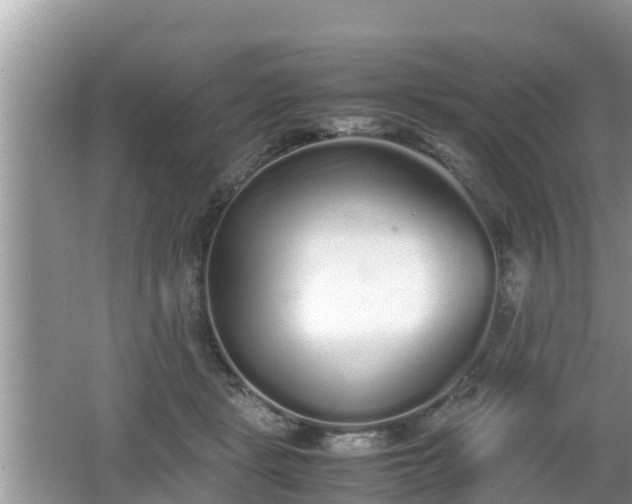 X0000062150461200512161239