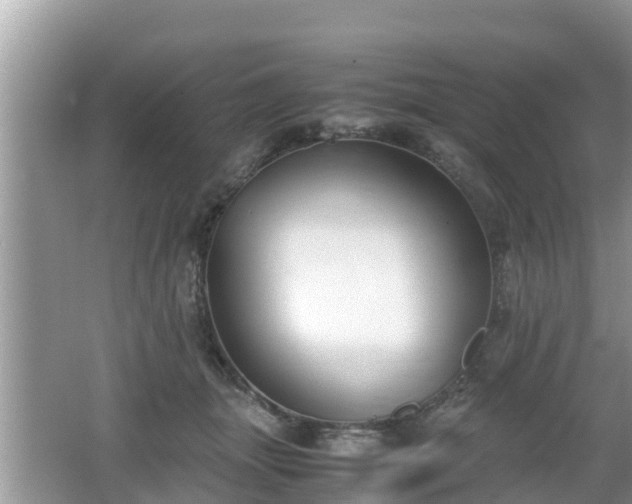 X0000062150463200512161239