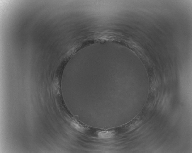 X0000062150465200512161239