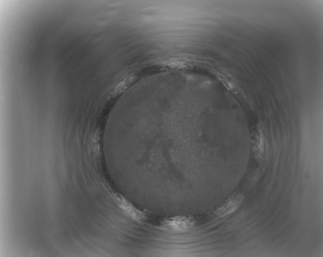 X0000062150466200512161239