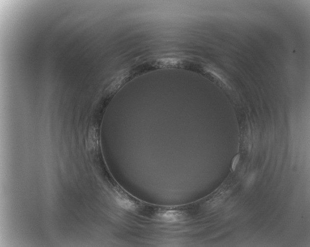 X0000062150467200512161239