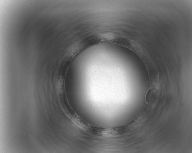 X0000062150468200512161239