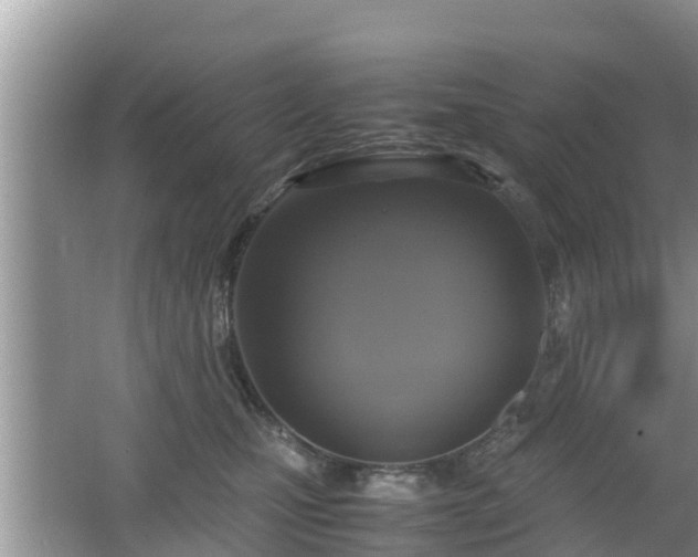 X0000062150471200512161239