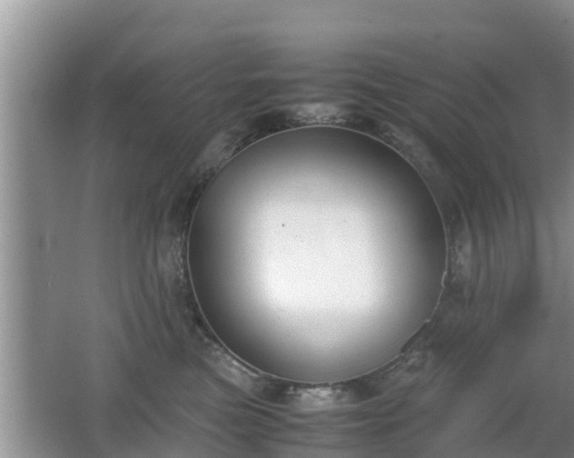 X0000062150473200512161239