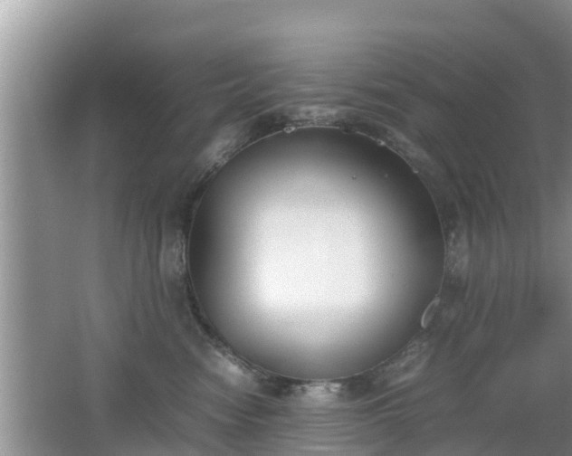 X0000062150474200512161239