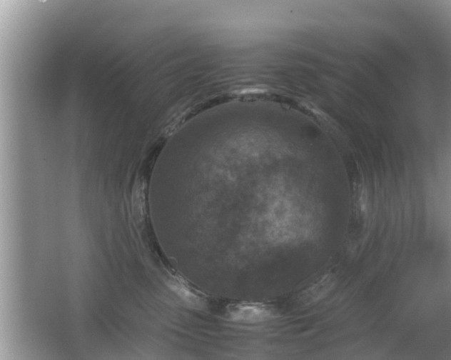 X0000062150475200512161239