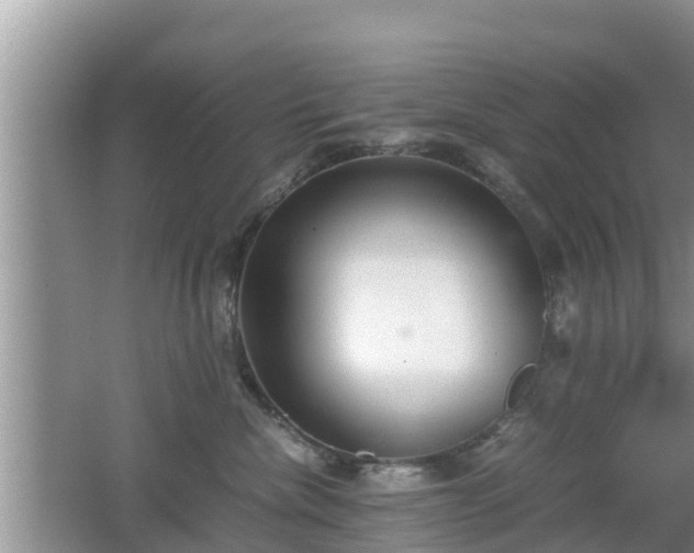 X0000062150476200512161239