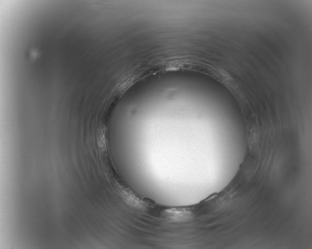 X0000062150477200512161239